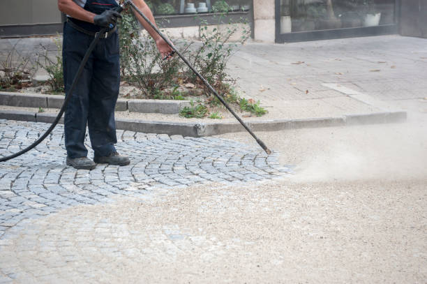 Best Restaurant Pressure Washing  in Country Lake Estates, NJ